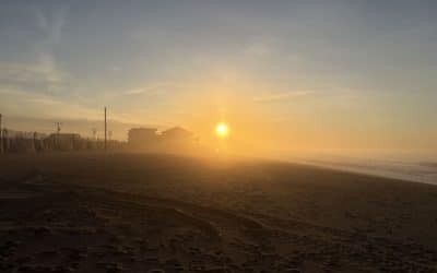 Spring Hiring Season: Why Now Is the Time to Hire a Principal or Campus Director